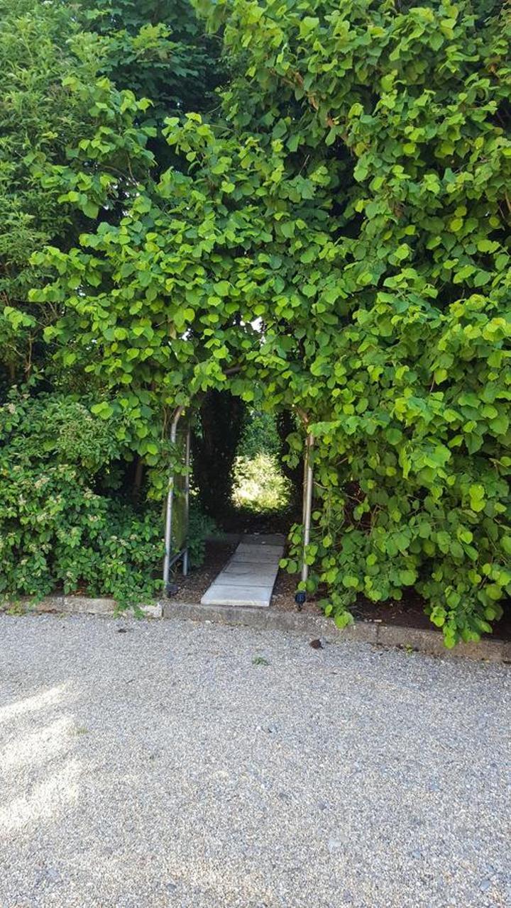 Wellingtonbridge Brookvale B&B 외부 사진